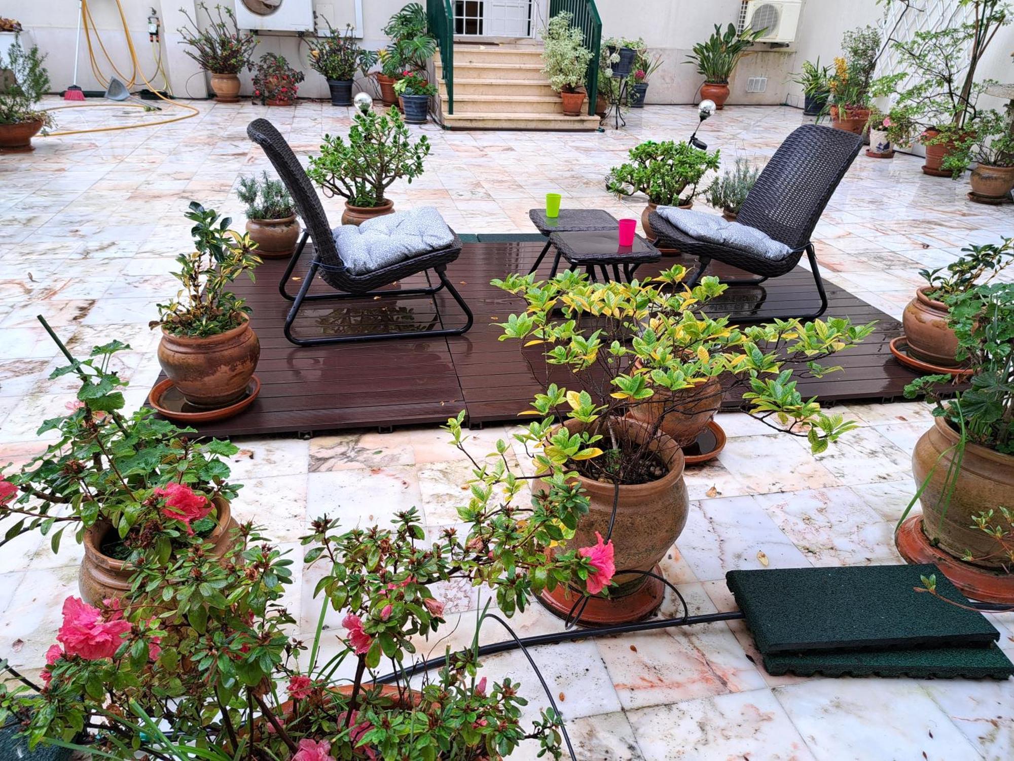 Lejlighed Sunny Terrace *