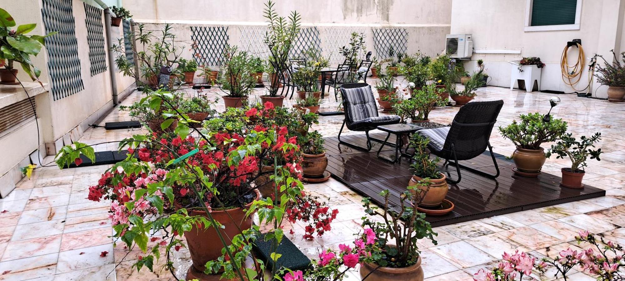 Lejlighed Sunny Terrace Lisboa